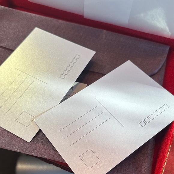 Elegant Floral Embroidered Scarf - Picture 5 of 6